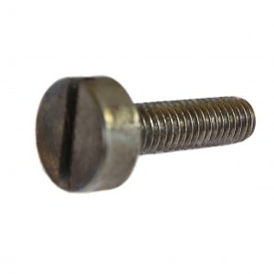 Screw